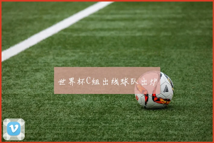 世界杯C组出线球队出炉
