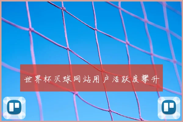 世界杯买球网站用户活跃度攀升