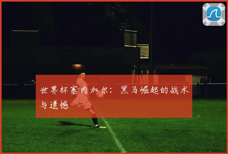 世界杯塞内加尔：黑马崛起的战术与遗憾