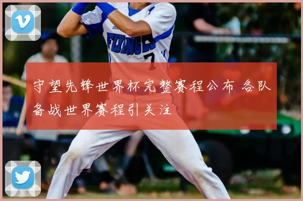 守望先锋世界杯完整赛程公布 各队备战世界赛程引关注