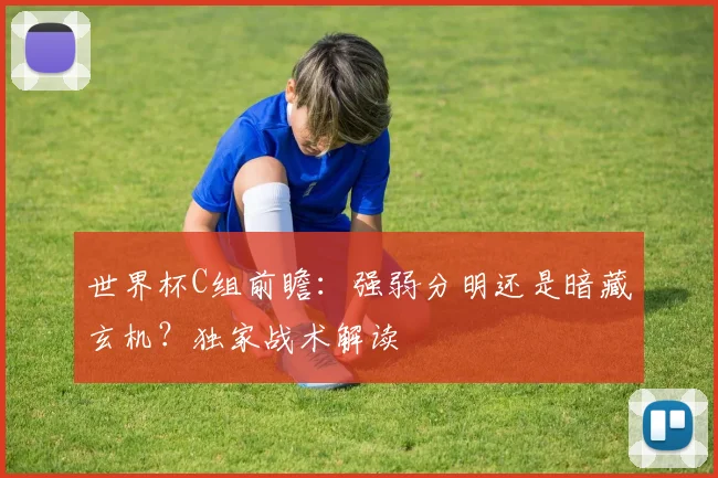 世界杯C组前瞻：强弱分明还是暗藏玄机？独家战术解读