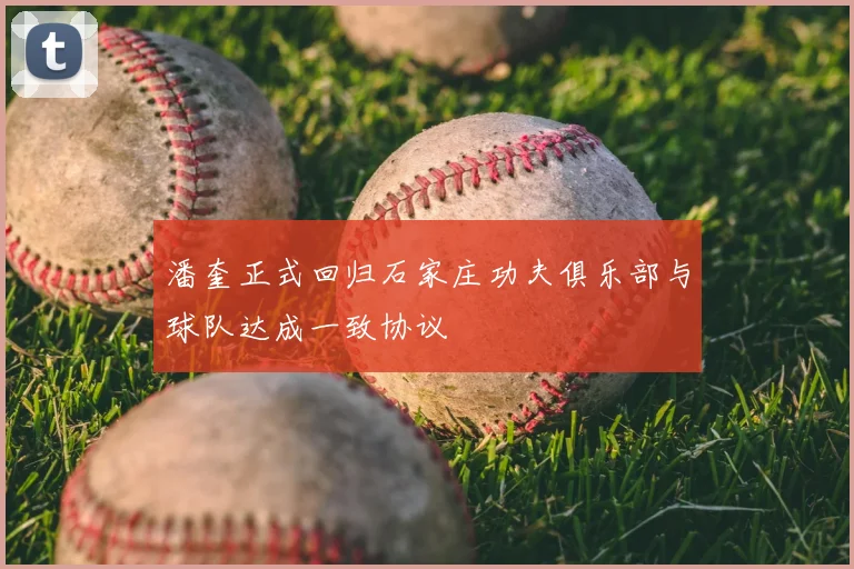 潘奎正式回归石家庄功夫俱乐部与球队达成一致协议