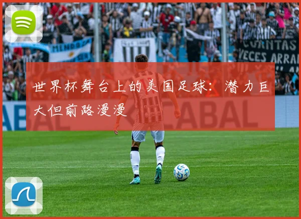 世界杯舞台上的美国足球：潜力巨大但前路漫漫