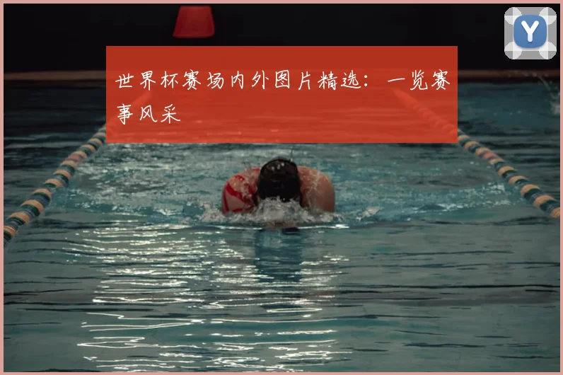 世界杯赛场内外图片精选：一览赛事风采