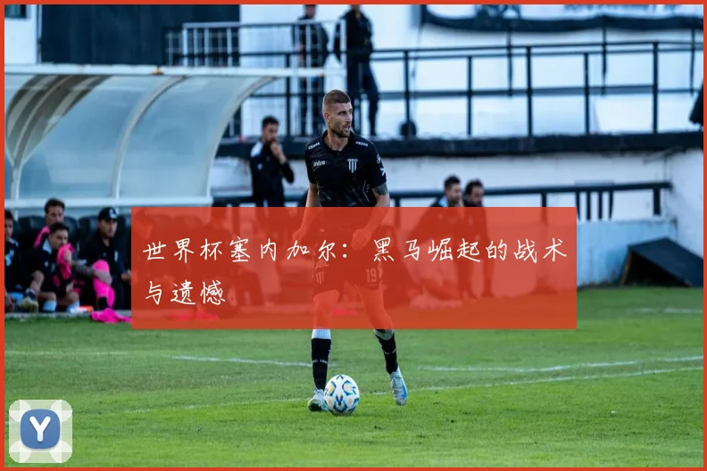 世界杯塞内加尔：黑马崛起的战术与遗憾