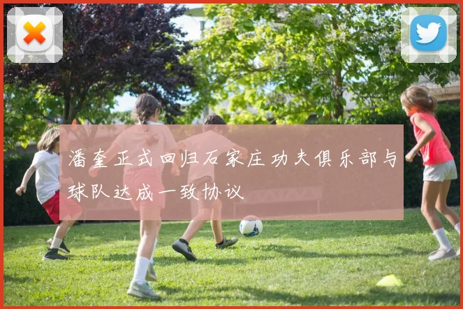 潘奎正式回归石家庄功夫俱乐部与球队达成一致协议
