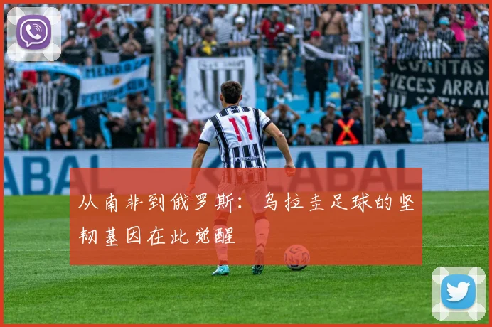 从南非到俄罗斯：乌拉圭足球的坚韧基因在此觉醒